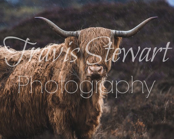 Scotland Photography Fine Art